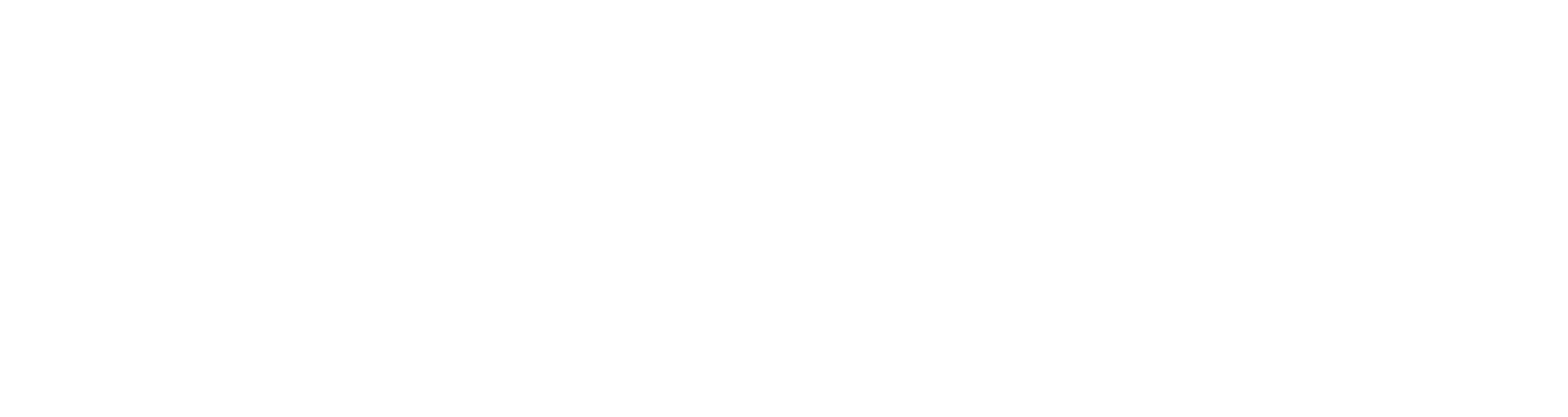 Logo SPIDER